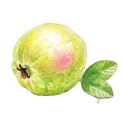 Imagen PNG para descargar